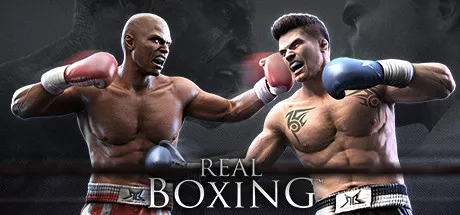 Real Boxing モディファイヤ