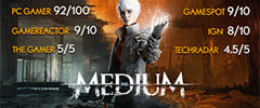 The Medium Modifier Feature Display