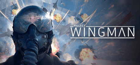 download free project wingman steam